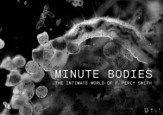 Minutes Bodies